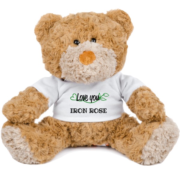 Teddy 3